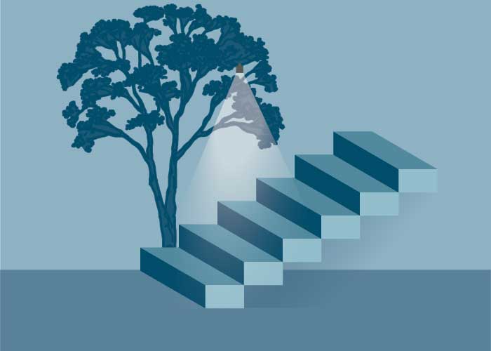 Down Lighting Stairs or Steps