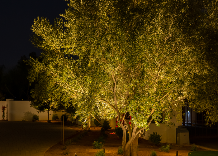 Cross Lighting