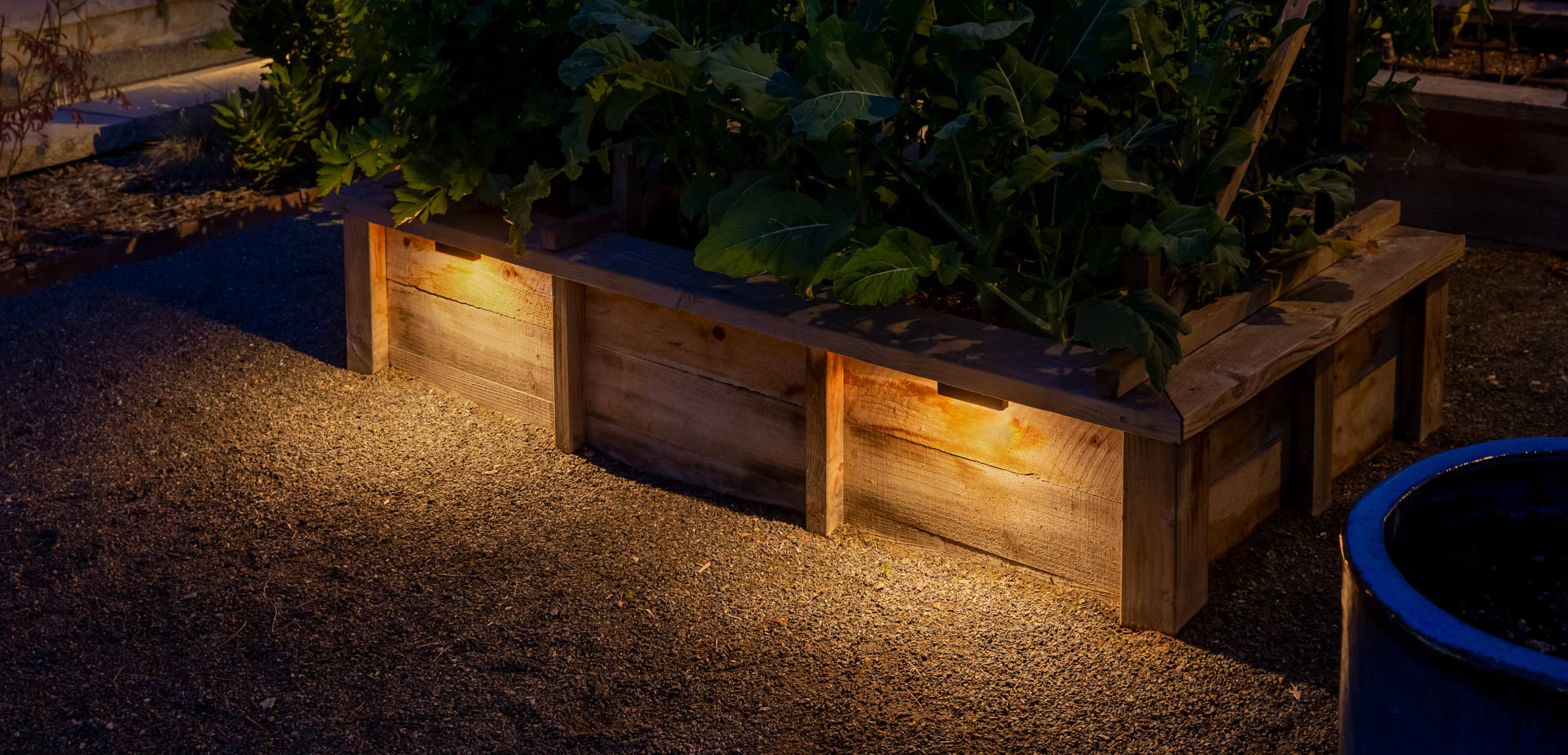 LD FX Luminaire