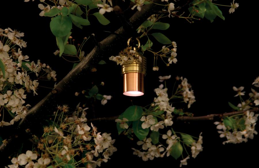 Ls Fx Luminaire