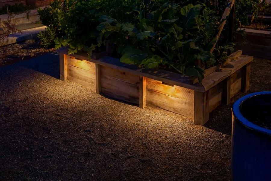 LD FX Luminaire