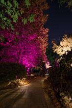 Fx sales luminaire luxor