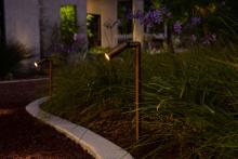 PP-36 Path Light