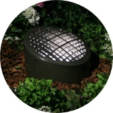 CF in-grade light