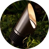 NP up light