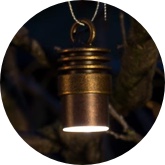 LE down light